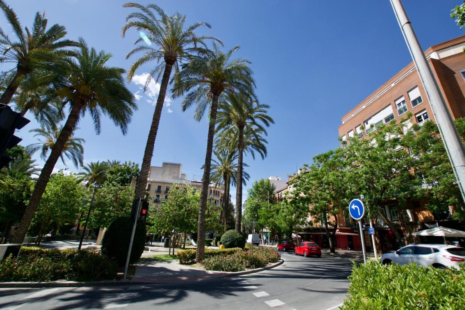 Centrico Apartamento Familiar Con Patio Privado Alicante Eksteriør billede